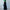 Office suit trousers wide leg pants: Black