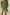 LDC Contrast Stitched V Neck 3/4 Sleeve Swingy Mini Dress: Jungle Green