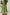 LDC Contrast Stitched V Neck 3/4 Sleeve Swingy Mini Dress: Jungle Green