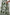 Haizley Floral Alna Button Up Midi Dress: CREAM-GREEN