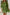 LDC Contrast Stitched V Neck 3/4 Sleeve Swingy Mini Dress: Jungle Green